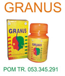 granus granus