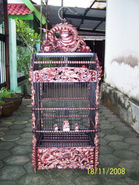 sangkar-cakra-004