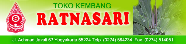 header-kembang-ratnasari1