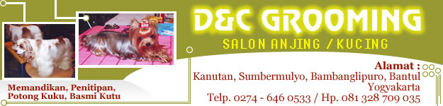 banner-dc-grooming