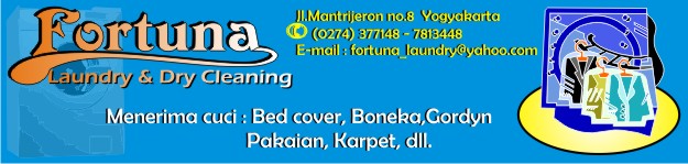 banner-fortuna-laundry