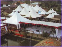 cv-virgo-jasa-sarana-pesta-9