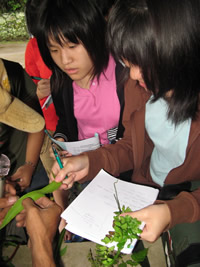 sma-don-bosco-jkt_09