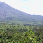 WISATA VOLCANO AGRO