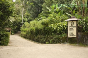 LERENG MERAPI TOUR  ( 8 Jam ) | JogjaPromo Wisata