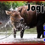 SOUTH EAST  JOGJA TOUR ( 8 Jam ) | JogjaPromo Wisata