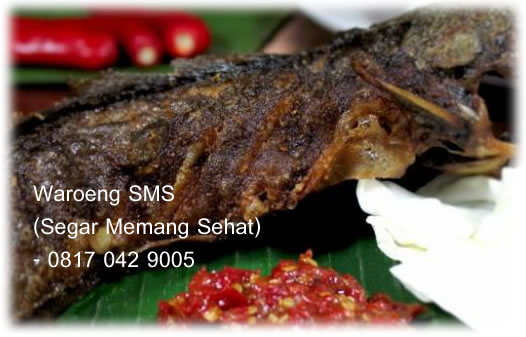 Waroeng SMS (Segar Memang Sehat) Ikan Bakar Jogja – Lele Bakar – Nila Bakar