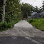 Jual tanah di daerah Sedayu Bantul Dekat Jl Wates Yogyakarta