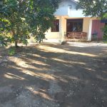 Jual Rumah Murah di Ganjuran Sumbermulyo Bambanglipuro Bantul Jogja