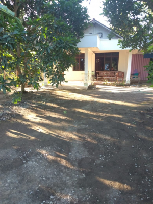 Jual Rumah Murah di Ganjuran Sumbermulyo Bambanglipuro Bantul Jogja