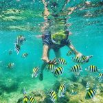 Paket Wisata Jogja Rp 600 Ribu Heha View Sunset – Pantai Indrayanti – Snorkeling Pantai Nglambor