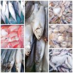 Ready Ikan Segar di Bangunjiwo