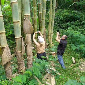 100 Paket Wisata 1 Hari di Yogyakarta